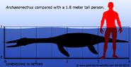 Archaeonectrus-size