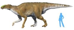 Kamuysaurus-japonicus-fr-ATD