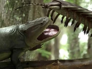 I-249.jpg (78 КБ) Эриопс и артроплевра