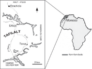 Geographic-map-of-the-fossil-location-south-of-Erfoud-east-of-the-village-of-Taouz