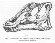 Kerberosaurus manakini