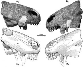 S25783530.jpg