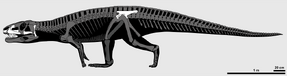 X0xc0ebn06y61.png