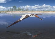 Lusognathus