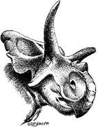 Medusaceratops-golova-m