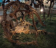 1024px-MonolophosaurusJiangiAttackingATuojiangosaurusMultispinus-PaleozoologicalMuseumOfChina-May23-08
