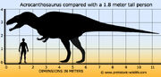 Acrocanthosaurus-size