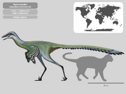 HypnovenatorPaleoHistoric