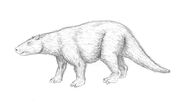Barylambda