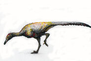 Saurornithoides mongoliensis
