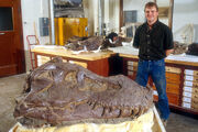 Tyrannosaurus Sue 02.jpg