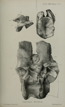 0uaae41190-1771fd4a-40692572.png