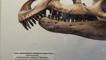 142570598488541-big.jpg
