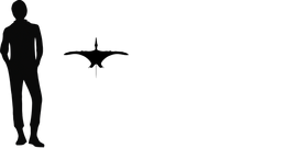 1darwinopterus size