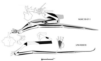 0u72f2473a-94fab640-30ad88d0.jpg