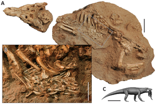 Aplestosuchus with prey.png