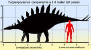 Tuojiangosaurus-size