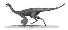 220px-Gallimimus Steveoc86.jpg