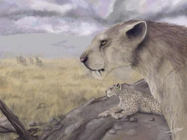 E889c62db2c9156d136a28786f8f2506.jpg.7c07afcf4fa9c682056d456cbde6df5b