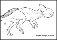 Leptoceratops gracilis by zakafreakarama