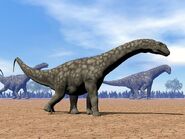 Голотип Titanosaurus indicus (дистальный хвостовой позвонок)