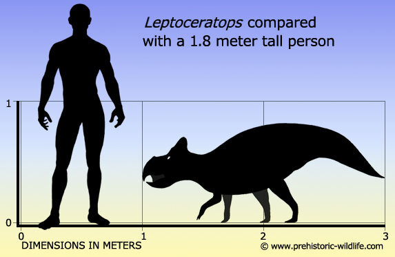 Leptoceratops-size.jpg
