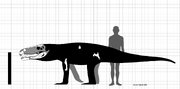 Dentaneosuchus
