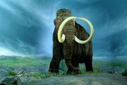 Wooly Mammoth-RBC