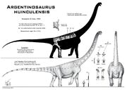 Argentinosaurus huinculensis