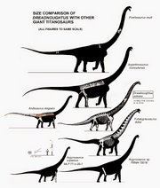 Dreadnoughtus vs argentinosaurus.png