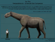 Paraceratherium enhanced size.jpg