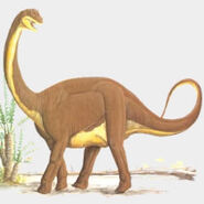 Patagosaurus 03