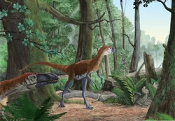 0u73ec463c-57ef4160-62d4b2d2.jpg (104 КБ)