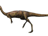 Элафрозавр