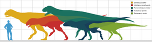 1920px-Carnotaurini sizes updated