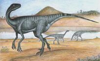 Adasaurus
