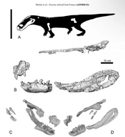 Dentaneosuchus-crassiproratus-is-a-newly-discovered-sebecid-v0-rzbgorcufawa1