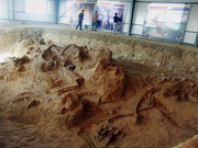 One of the four quarries producing the enormous Lingwulong fossils