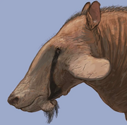 Archaeotherium-the-bully-of-the-white-river-badlands-v0-gndet6jxuko81