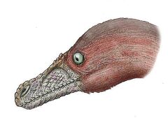 EVsinusonasus-58b9b1565f9b58af5c9a8fd0.jpg