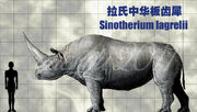 Sinotherium lagrelii by sinammonite d2b5ijd-fullview