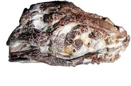 Crocodil-pitic