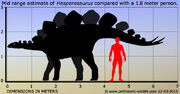 Hesperosaurus-size