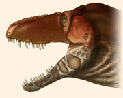 Image Daspletosauraus-horneri