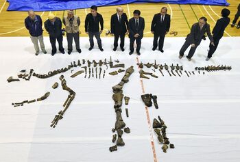 Hadrosaurid , Hokkaido,.jpg