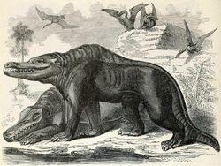 Reconstruction of Megalosaurus and Pterodactylus by Samuel Griswold Goodrich from Illustrated Natural History of the Animal Kingdom, 1859