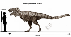 Teratophoneus