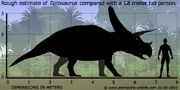Torosaurus-size.jpg