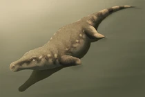 0u2db1f089-40e0f709-3a7df340.png (521 КБ) Версия с губами