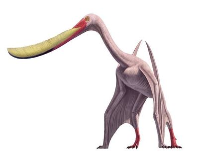 Pterodaustro